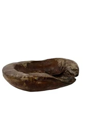 Hand Carved Rustic Natural Edge Large Wood Centerpiece Bowl Freeform Shape 