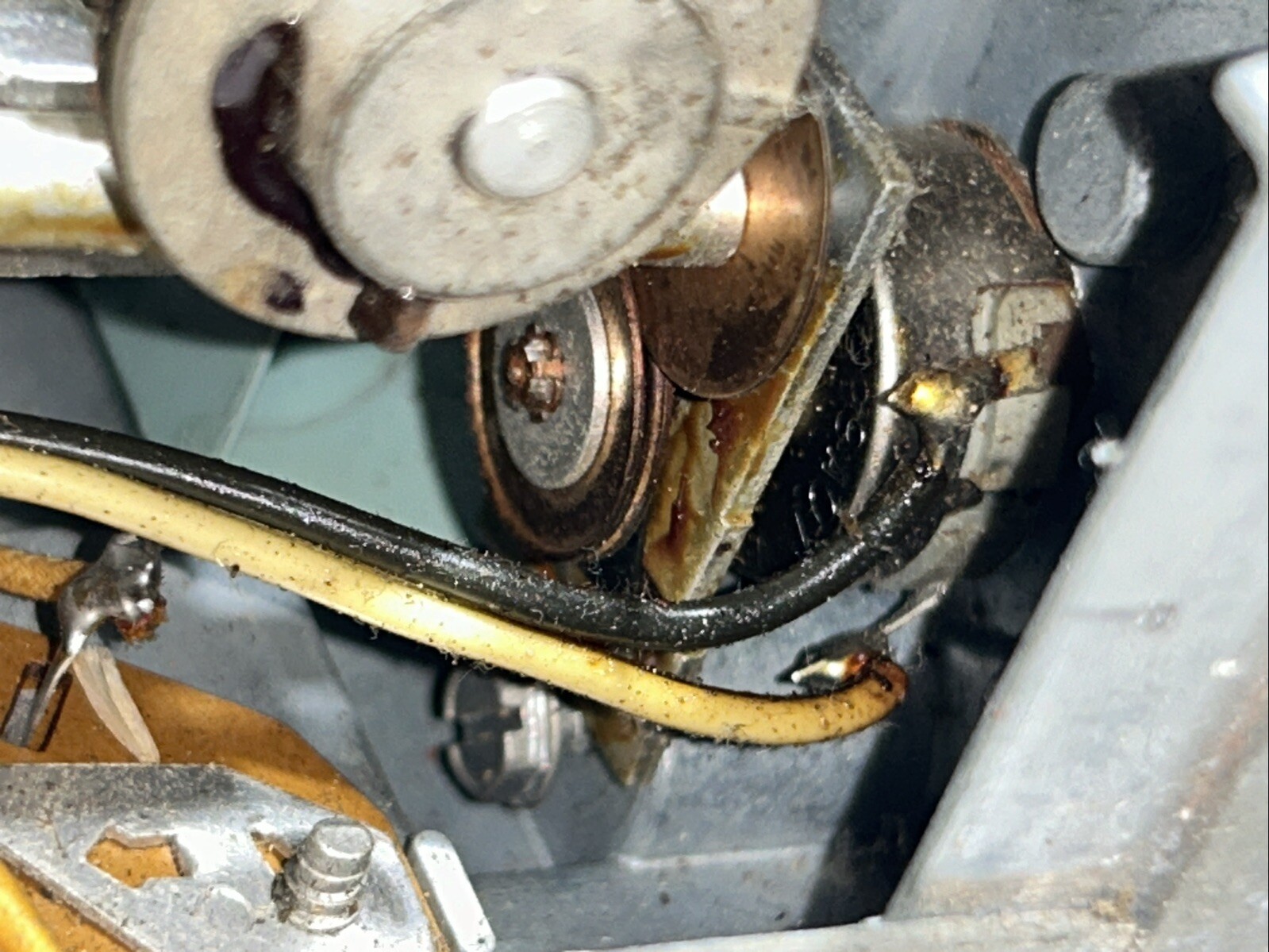Picture 23 of 23