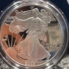 2003 W American Silver Eagle 1 Oz Proof Coin W Box & COA  011828