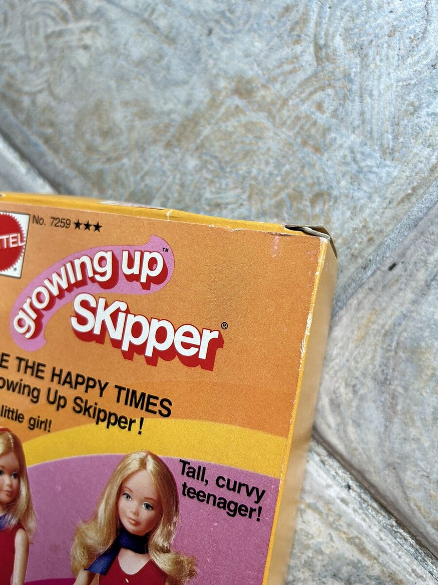 Mattel Growing up Skipper 1974 Works 