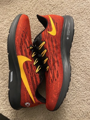 chiefs pegasus 36