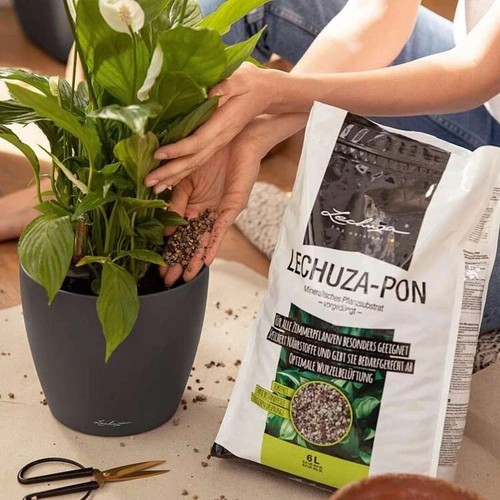 Lechuza-PON 3L Mineralisches Pflanzensubstrat Erde-Alternative Substrat Growbox - Bild 2 von 4