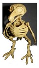 Bild 38 von 50