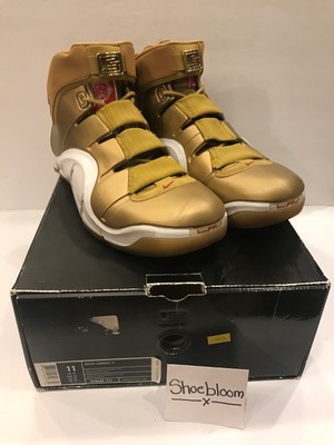 nike zoom lebron iv