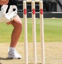 Gray-Nicolls Cricket Stumps &