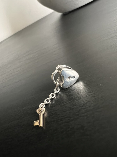 Genuine Pandora Bracelet complete with charms - Picture 10 of 24