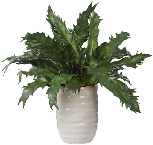 Uttermost 60229 Verdure Fern 16-1/4" Tall Ceramic Faux Flora - Beige - Picture 1 of 5
