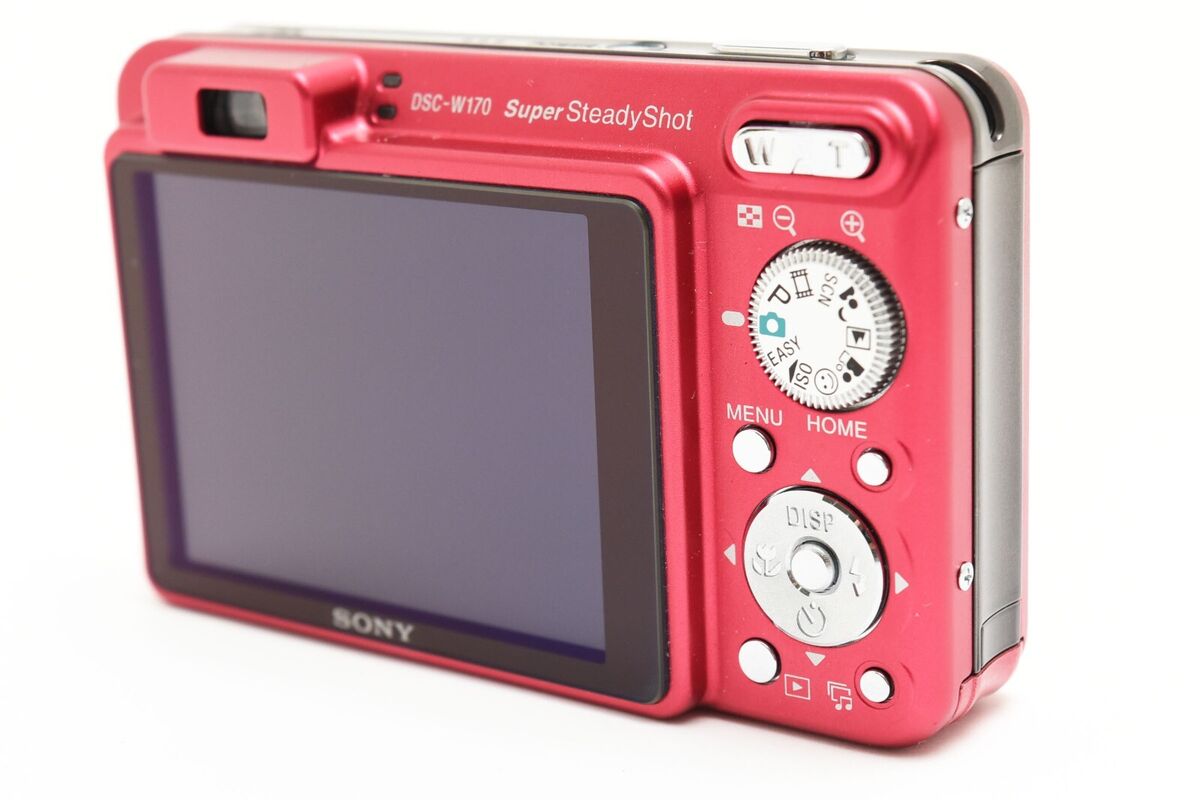 MINT] SONY Cyber-shot DSC-W170 10.1MP Digital Camera From