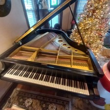 Yamaha Conservatory Grand Piano  73"
