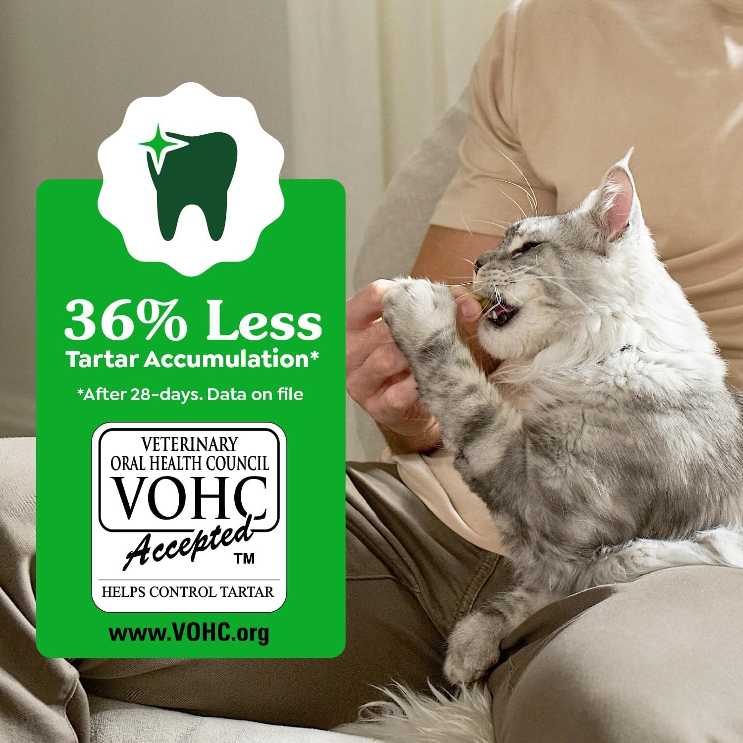 Greenies Adult Cat Dental Chews - Catnip Flavor, Natural Vet-Recommended 4.6 oz