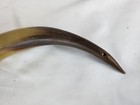 Antique Native Carved Powder Horn 11" — photo 6