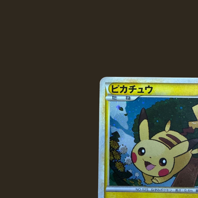 Pikachu Daisuki Club Gold Point 019/L-P Promo Japanese Pokemon
