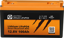 Liontron LiFePO4 Lithium Batterie 12 V 100 Ah all in One Campingzubehör B - Ware