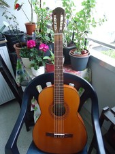 Konzertgitarre 4/4 Musima mit Retro-Tasche