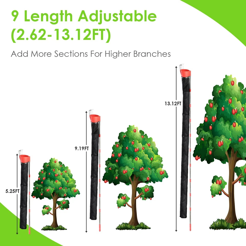 Recogedor de frutas de alto alcance de 13,43 pies poste recolección de frutas para mango aguacate limón manzana Foto 3 de 4