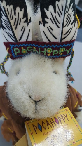 Neu mit Etikett Muffy Vanderbear Pocahoppy Pocahontas Plüschkaninchen SELTEN 1997 - Bild 10 von 12
