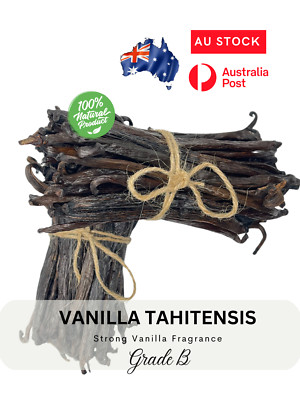VANILLA BEANS GRD B, 12cm+, GREAT FOR EXTRACT  20 Beans, free Postage