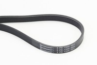 Continental Ctam 5PK1334 Keilrippenriemen FüR Chevrolet Opel