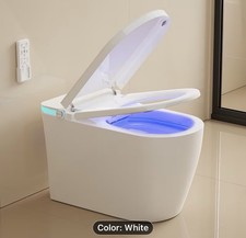Smart Toilet Bidet Heated Seat Auto Flush Warm Air Dryer Remote Control