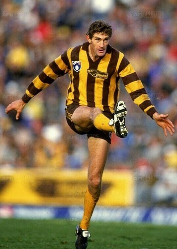 Hawthorn Football Club 1978-1992 VFL- AFL era HAWKS jumper sponsor patches set - Picture 10 of 15