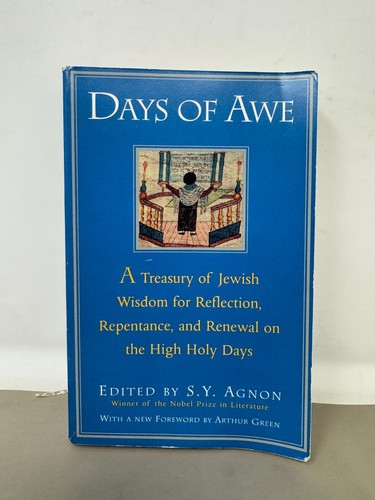 Lot of 7 Jewish Books - Haggadah, Rosh Hashanah, Passover, Guide to Holy Days - 第 3/22 張圖片
