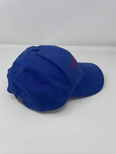 *RAR* Vintage 90s Wrigley Field Chicago Illinois Adjustable Hat Cap Nissun - Bild 4 von 7