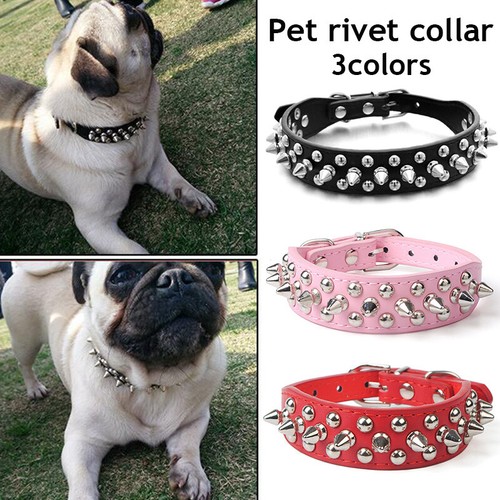 different type of dog leashes