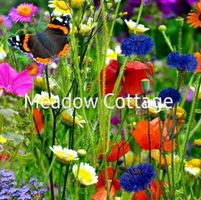 WildFlower Meadow Seed Mix *BUY 2 GET 1 Free* Bees/Butterfly Scented 100g Native 99.50 per kilo