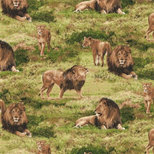 Feline Drive Fabric BORN FREE Lions Fabri-Quilt Fat Quarter (18"x22") FQ - Picture 1 of 1