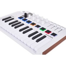 Arturia MiniLab 3 Hybrid Keyboard Controller ...