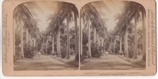 Vintage Stereofotos 18x9 cm: Queen's Hospital Grounds, Honolulu (1896)