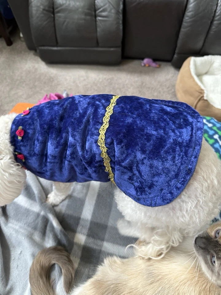 Dog Royal Blue Faux Velvet Dress by Cute Gold Trim With Pink Flower - Image 2 of 4