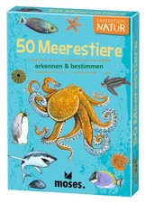 Expedition Natur 50 Meerestiere | erkennen & bestimmen | Carola von Kessel