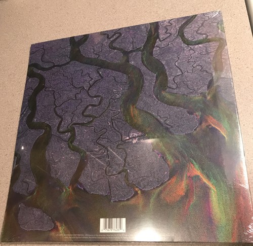 ALT-J - An Awesome Wave - Sealed Vinyl - Brand New (2011) - Picture 2 of 2