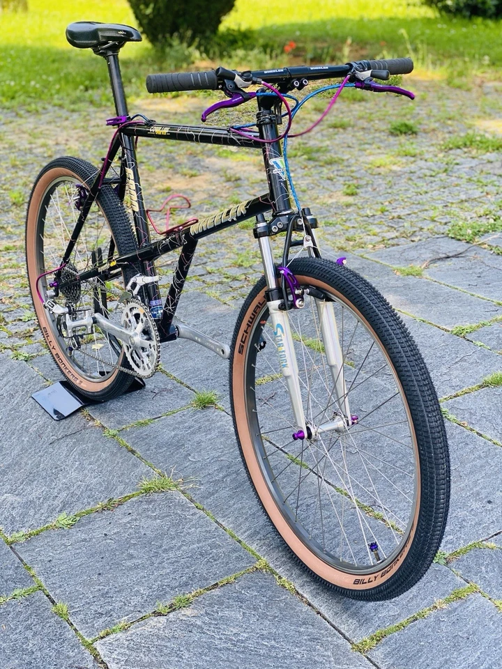 Wheeler 6800 Kult MTB 90‘s - Bild 2 von 4
