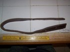 Picture 4 of 4