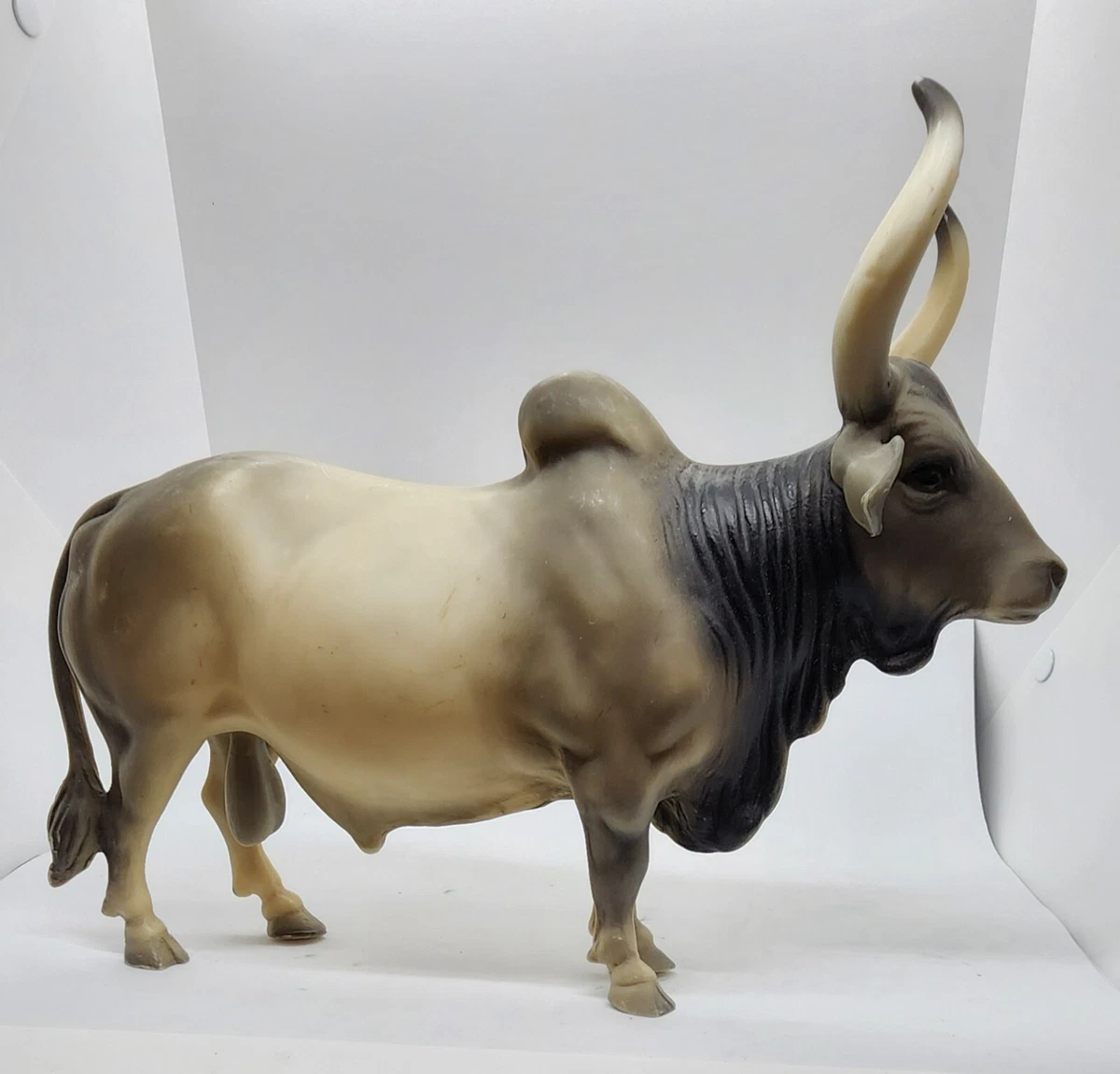 Bull brahma cheap
