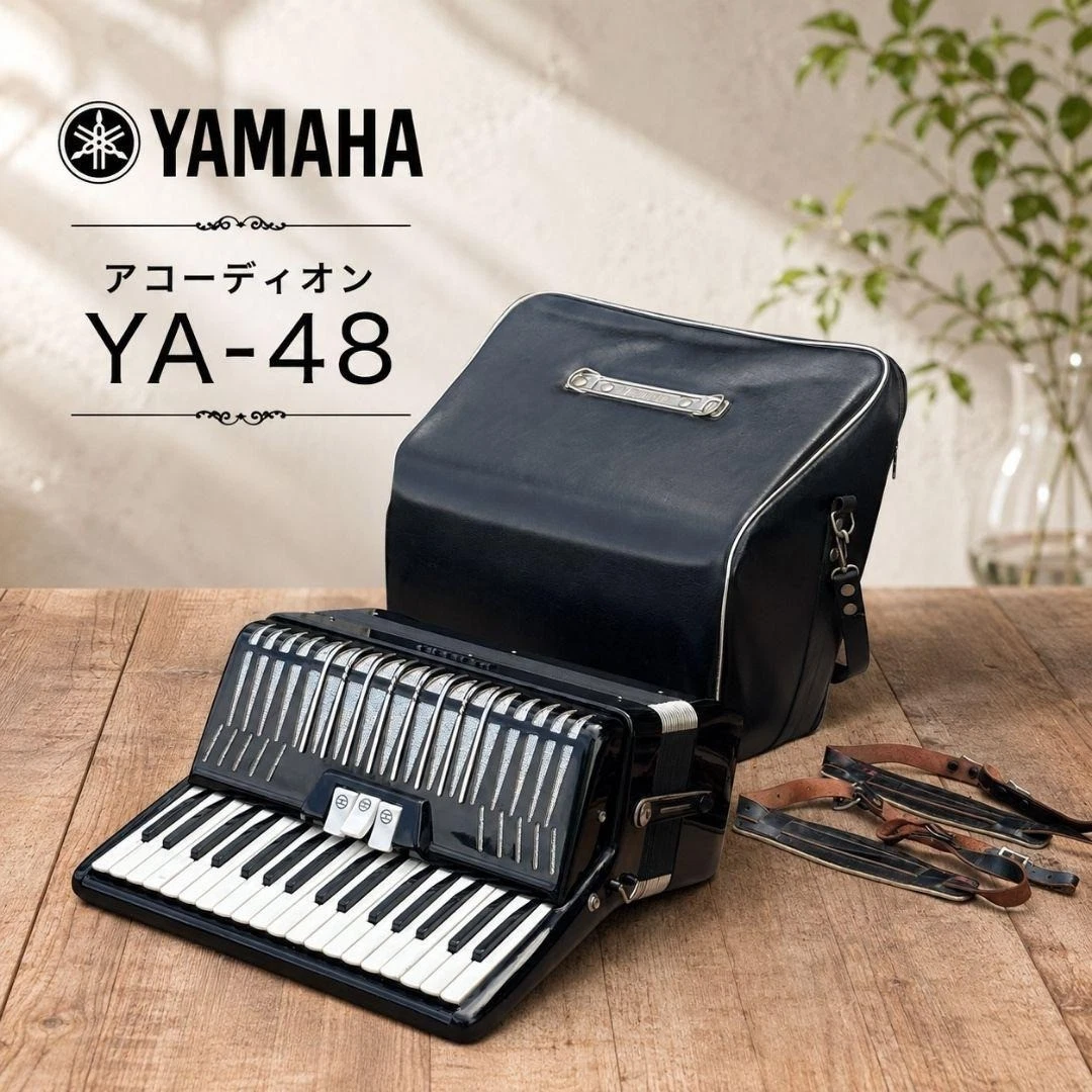 3 Register Accordions with 48 Bass Keys and 34 Treble Keys for