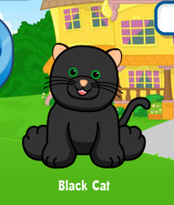 Webkinz Classic Black Cat Virtual PET Adoption Code Only Messaged