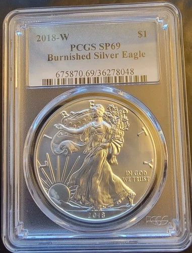 2018-W American Eagle SP-69 PCGS Burnished Art Bullion -0.999 Silver 1 Oz Coin e