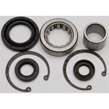 All Balls Inner Primary Bearing and Seal Kit 25-3101