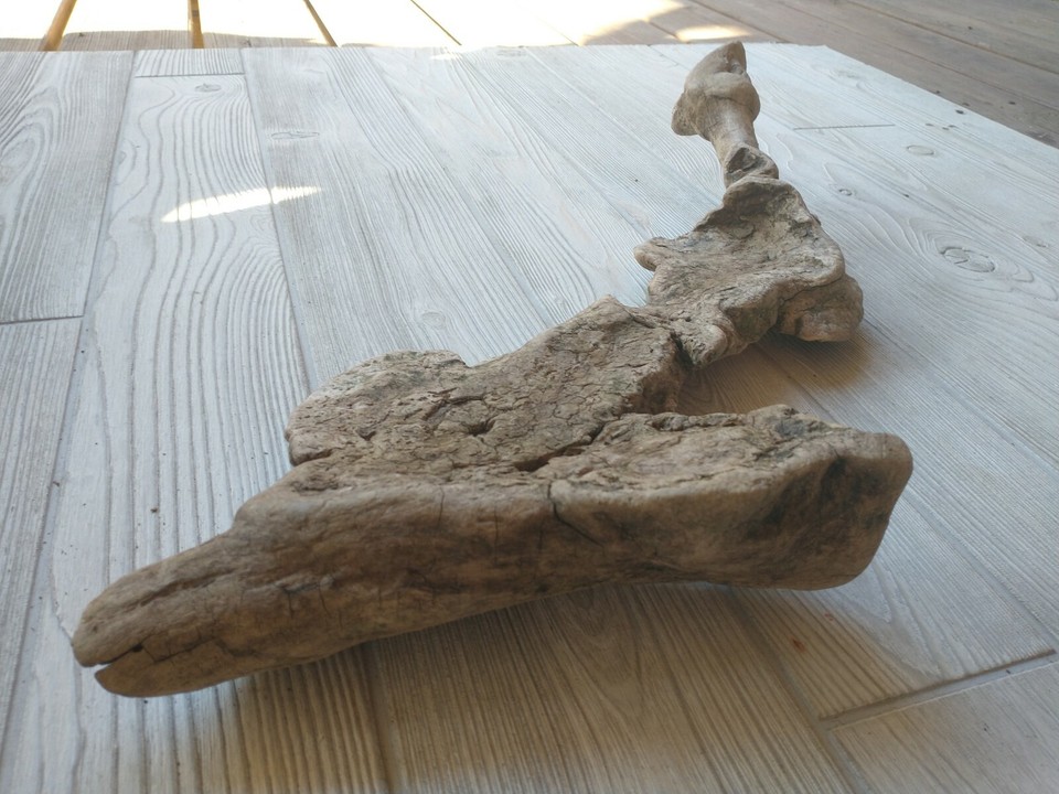 22" Unique Driftwood Art Piece Aquarium Reptiles Landscaping Yard Décor