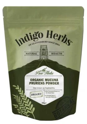 INDIGO HERBS,GLASTONBURY Organic Mucuna Powder - 100g & 250g & 500g & 1kg - Indigo Herbs