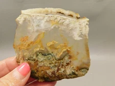 Graveyard Point Plume Agate Stone Slab Unpolished Rock Oregon #O12