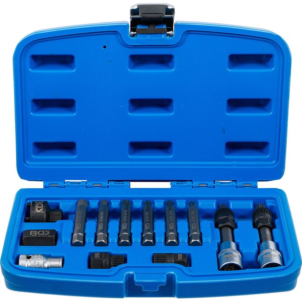 "Bgs Lichtmaschinen Bit-/Bit-Einsatz-Satz Antrieb 12,5 Mm (1/2\") 13Tlg. - 4246"-image