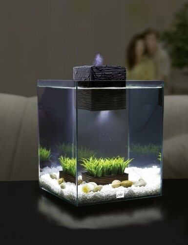 fluval chi light replacement