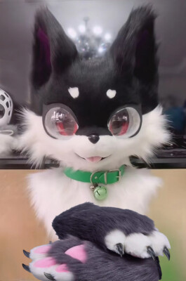 Fursuit Husky Fox Mascot (head + PAWS) Halloween Party Fur Cosplay 111#