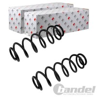 2X Nk Fahrwerksfedern Hinten Beidseitig Passend FÜR Seat Leon Toledo Vw Bora