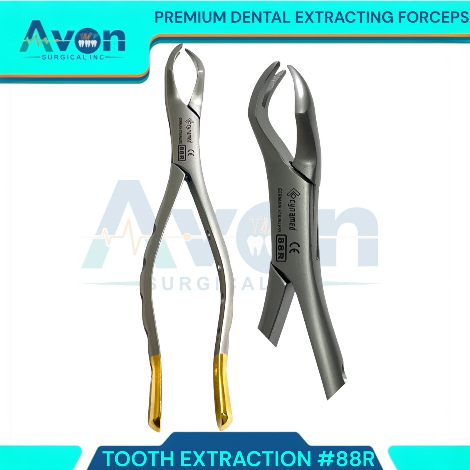 Dental Extracting Forceps 88R & 88L Molar Tooth Surgical Instruments ...