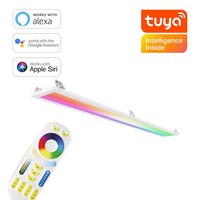Rgb+Cct Led Panel 120X15Cm Inkl. Smarthomesteuerung 24W 24V Weiß Montageclips